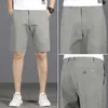 Erkek Şort 2023 Yaz Yeni Su Işığı Pamuk Erkekler Günlük Şort Klasik Stil Kore Moda Streç Kısa Pantolon Erkek Marka Giyim L230719