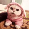 Dog Apparel Pet Cat Spring And Autumn Ear Sweater Teddy Bear Kitten Cute Clothes