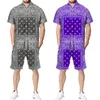 Mens Tracksuits Summer Hawaiian Set midja 3D Print Polo -knapp SHIRTBEACH SHORTSUSIT Hip Hop Street Apparel Casual Par 230718