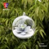 Vaser 10 cm Big Terrarium Borosilicate Hanging Glass Flower Vase Round TabliTop Vases Home Decor Wedding Decoration Transparent Z230719