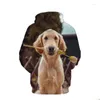 Moletons masculinos Golden Retriever masculino/feminino primavera inverno moletom com capuz estampado em 3D para cachorros de manga comprida moletons com capuz fashion street superdimensionado