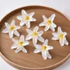 50pcs/lot orquídea artificial Flor de seda Cabeça 7cm para decoração de casamento em casa Diy Wreath GreatBookBooking Craft Fake Flower 2253