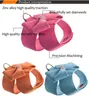 Dog Collars Leashes Small Harness Leash Collar Soft Suede Leather for Puppies Chihuahua Yorkie Cute Pet with Bow XL 230719