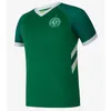 23 24 Chapecoense Soccer Jerseys 50 -årsjubileum 2023 2024 Home Away Alan Ruschel Ezequiel Ramon Silva Football Shirts Ravanelli Camisas de Futebol Men Uniforms