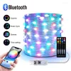 Strings Decor Led Light USB Bluetooth App Controle RGBIC Guirlande Draad Fairy Koper String Lamp Bruiloft Decoratie 5/10/20M