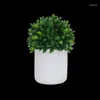 Decorative Flowers HXGYZP Artificial Potted Plants Plastic Fake Pepper Leaf Ball With White Cement Basin Office Shopping Mall Door Home