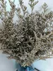 preserved natural dried flowers wholesale caspia Misty Limonium Preserved Limonium Flowers grass preserved flowers and plants