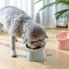 Miski dla psów Podajniki 45 ° Pet Pet Bowl Pies Kot Kasę i dozownik picia bez poślizgu Kotek Kult Kultak pod wodą Zwierzęta domowe 230719