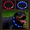 Hundhalsar Leases Dog Collar LED Lätt blinkande natt USB laddning av hundkatthalsar USB Lysande krage Pet Collarneck Decoration Glowing In Dark 230719