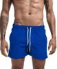 Heren Shorts 2022 Zomer Heren Strand Shorts Nieuwe Eenvoudige Fitness Sport Casual Elastische Taille Drstring Mannelijke Surfplank Korte broek S-3X L230719