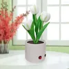 مصابيح الجدول LED TULIP محاكاة زهرة القراءة ضوء USB شحن السرير مصباح Flowerpot بوعية قابلة للذات لتوفيات الديكور المنزل