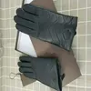 Gants de designer de luxe gants en cuir pour hommes et femmes écran tactile en peau de mouton pour femmes hiver épaissi marque chaude 255y