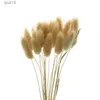 Fiori secchi Coda di coniglio Fiori secchi naturali Erba Mazzo Bouquet di fiori reali per oggetti di scena Flores Decorazione di nozze per la casa Fai da te R230725