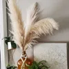 Gedroogde Bloemen 80 cm Grote Pampas Gras Een bos Boheemse Gedroogde Bloemen Voor Bruiloft Woondecoratie R230720