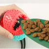 Giocattoli per cani da masticare in silicone Giocattoli per cani da compagnia Ventosa Rimorchiatore Cani da masticare Palla da spinta Giocattolo Pulizia dei denti dell'animale domestico Spazzolino da denti per cuccioli Giocattolo mordace per cani di grandi dimensioni 230719