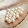 50 sztuk całe 9-9 5 mm okrągłe białe perły słodkowodne luźne koraliki hodowane perły na wpół owinięte lub niepohamowane 2779