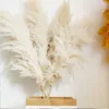 Getrocknete Blumen, natürliches getrocknetes Pampasgras, flauschiger Pampas-Blumenstrauß, Boho, lange getrocknete Blumen, Hochzeit, Bogendekoration, Zuhause, Wohnzimmer, Blumenarrangement R230720