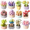 Blokken MOC Bloem Gebouw Speelgoed Succulent Ingemaakte DIY Planten Creatieve Decoratieve Ornamenten Montage Collectie Gift Souvenir 230719