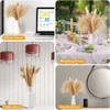 Getrocknete Blumen, Pampasgras, flauschiges Zimmer, Phragmites, Dekoration, natürliches Häschenschwanzgras, getrockneter Blumenstrauß für Hochzeit, Boho-Heimdekoration, R230720