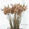 Flores secas naturais rabo de coelho grama flores secas para decoração lagurus buquê boho rabo de coelho seco grama interior decoração de mesa de centro r230720