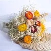 Fiori secchi Respiro del bambino essiccato Mazzi di fiori Fiori conservati Natural Fresh Gypsophila Regalo per la decorazione esterna di nozze Decorazioni per la casa R230720