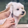 Peluquería para perros Benepaw 6 en 1 Tijeras para perros de punta redonda de seguridad afiladas de acero inoxidable profesional Pesado Ergonómico Cachorro Peluquería para mascotas Tijera 230719