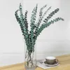 Gedroogde Bloemen 10 Stuks Natuurlijke Gedroogde Eucalyptus Bladeren Bloem Echte Plant Takken Stengels DIY Boeket Materiaal Bruiloft Thuis Feest Decoratieve Items R230720