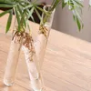 Vases Vases Vase En Verre 20cm Petit Frais 3 Tube À Essai Transparent Fleur Conjointe Décor De Bureau À Domicile Z230720