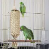 Andra fågelförsörjningar stora papegoja leksaker tänder rengöring och underhållande tugga palm bladträning plysch bur tillbehör för parakit conures