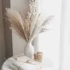 Fiori secchi 30pcs erba di pampas essiccata Boho Home Decor vera erba di canna soffici fiori secchi fai da te bohemien bouquet naturale per la decorazione di nozze R230720