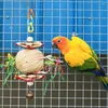 Weiteres Vogelzubehör, Papageienspielzeug mit Zerkleinern, Futtersuche, Sittichspielzeug, Käfigzubehör für Wellensittiche, Papageien, Sittiche