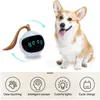 Köpek oyuncakları çiğneme otomatik interaktif köpek top oyuncakları elektrikli usb şarj edilebilir kendi kendine dönen kapalı teaser selfplay egzersiz oyuncakları köpek köpek yavrusu pet 230719