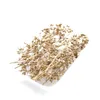 Dried Flowers 20pcs Gold Eucalyptus Fruit Natural Dried Flowers for Resin Molds Eucalyptus Leaf Mini Bouquet Candles Crafts Wedding DIY Craft R230720