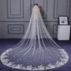 Champagne Tulle Approx 4 Meters Long Bridal Veils with Lace Appliques Charming Ivory Wedding Veil Accessories velo de novia largo305t