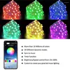 Strings 5/10/20M USB LED String Light App Bluetooth-compatibele verlichting Lamp Waterdicht Fairy Voor Kerstboomdecoratie