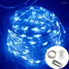 Cordes étanche fée lumière pour fête de mariage LED batterie télécommande fil de cuivre lampe noël vacances décoration chaîne 8 Mode