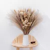 Getrocknete Blumen, natürliches Pampasgras, Schleierkraut, Blumenstrauß, getrocknete Blumen, Boho-Dekor | Hochzeit Home Decor Bauernhaus Modern Style Raumdekorationen R230720