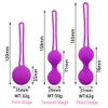 Vibrators Tighten Ben Wa Vaginal Muscle Kegel Ball Egg Intimate Silicone Intelligent Chinese Sex Toy 230719