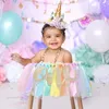 Banner Flags Baby First Rainbow Theme Birthday High Chair Tutu con One Pendent Banner para niños Decoraciones para fiestas de cumpleaños Po Drops 230720