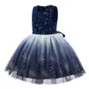 Girls' Dresses Fashion princess children's skirt trend breathable lace mesh flower embroidery clothing 1265263e