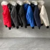 Doudoune doudoune manteau de créateur manteau d'hiver manteau d'hiver pour homme veste pour femme mode épaissie chaud décontracté unisexe hiver manteau de fourrure à capuche vente en gros 2 pièces 10% de réduction