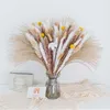 Getrocknete Blumen, natürliches Pampasgras, Schleierkraut, Blumenstrauß, getrocknete Blumen, Boho-Dekor | Hochzeit Home Decor Bauernhaus Modern Style Raumdekorationen R230720