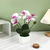 Decoratieve Bloemen Levensechte Phalaenopsis Ornamenten Zijde Thuis Bruiloft Desktop Simulatie Groene Buis Nep 7 Hoofd Vijf Potplanten