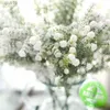 Torkade blommor Nya 69 cm Vita torkade blommor Naturlig babysbreath Preserve Floral Plant Bouquet Wedding Home Backdrop Decor Diy Craft R230725