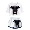 Kvinnors träningsdräkter De senaste 3D-mopsutsättningen av navel-t-shirt-shorts tvådelar Set Fashion Animal Dog Casual Girl's Summer