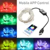 USB LED String Light Bluetooth App Control Copper Wire String Lamp Vattentät utomhus Fairy Lights For Christmas Tree Decoration2707