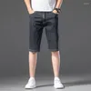 Heren shorts Summer gescheurde jeans mannen klasse denim broek rek zwart blauw slanke rechte mannelijke korte plus maat 29-46 ly3002