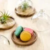 Plattor Glass Cake Dome Cover Creative Acrylic Round Dish Dust Proof Bell Jar dessert Lagring Tray