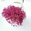 Suszone kwiaty naturalne suszone kwiat kryształowy słomka dom ślub domowy dekoracja przyjęcia walentynkowe prezent DIY Craft Dekoracyjny kwiat R230720