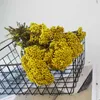 Torkade blommor naturligt torkat blommor torr risblomma eviga hirs blommor diy hemfest dekor bröllop arrangemang centerpieces dekoration r230720